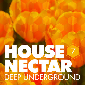 Various Artists - Underground House Nectar, Vol. 7