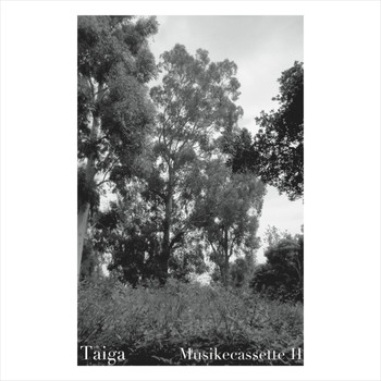 TAIGA - Musikecassette II