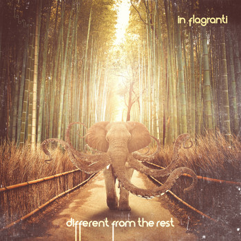 In Flagranti - Different from the Rest - EP