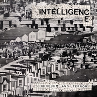The Intelligence - Boredom and Terror / Let's Toil (Remastered)