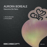 Giacomo de falco - Aurora Boreale