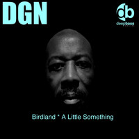 DGN - Birdland