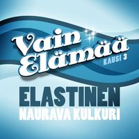 Elastinen - Naurava kulkuri - Gambler's Guitar