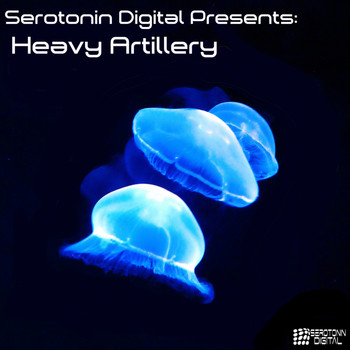 Various Artists - Serotonin Digital Presents: Heavy Artillery