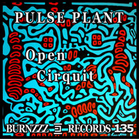 Pulse Plant - Open Circuit