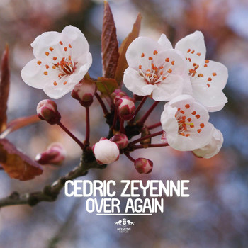 Cedric Zeyenne - Over Again