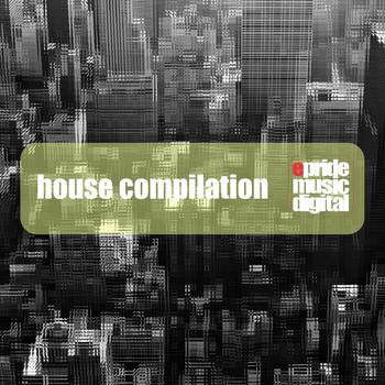 Various Artists - House Compilation