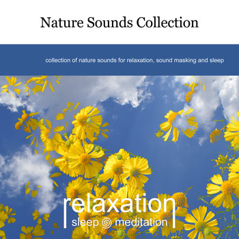 Relaxation Sleep Meditation - Nature Sounds Collection