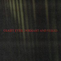 iceage - Glassy Eyed, Dormant and Veiled