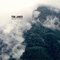 Tom James - Blood to Gold