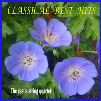 The Castle String Quartet - Classical Best Hits