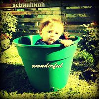 Sebwahwah - Wonderful