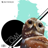 THE KEY - Owl