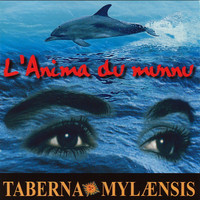 Taberna Mylaensis - L'Anima du munnu