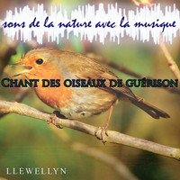 Llewellyn - Chant des oiseaux de guérison: sons de la nature avec la musique