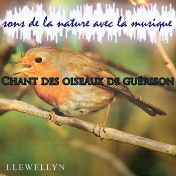Llewellyn - Chant des oiseaux de guérison: sons de la nature avec la musique
