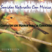 Llewellyn - Canto de los Pájaros para la Curación: Sonidos Naturales Con Música