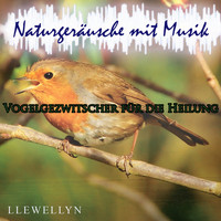 Llewellyn - Vogelgezwitscher für die Heilung: Naturgeräusche mit Musik