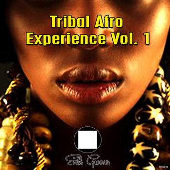 Various Artists - Tribal Afro Experience Vol 1