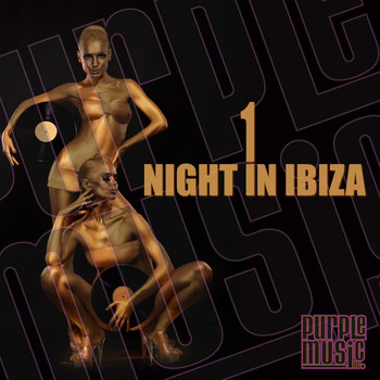 Various Artists - 1 Night In Ibiza