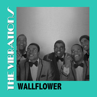 The Vibrations - For The Love Of Doo Wop, Vol. 1