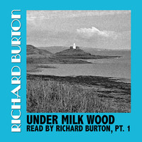 Richard Burton - Under Milk Wood Read By Richard Burton, Pt. 1