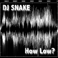 DJ Snake - How Low?