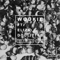 Wookie - The Hype 2.0 (Radio Edits [Explicit])