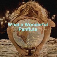 Ecosound - What a Wonderful Panflute