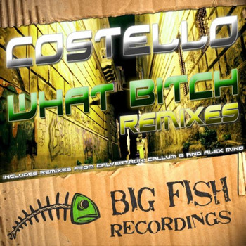 Costello - What Bitch Remixes