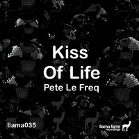 Pete Le Freq - Kiss of Life (Original Mix)