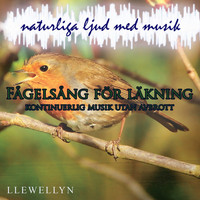 Llewellyn - Fågelsång för läkning: kontinuerlig musik utan avbrott: naturliga ljud med musik