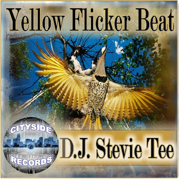 D.J. Stevie Tee - Yellow Flicker Beat