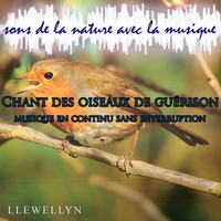 Llewellyn - Chant des oiseaux de guérison: musique en continu sans interruption: sons de la nature avec la musique