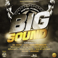 GrayMata - Big Sound