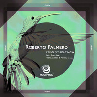 Roberto Palmero - I'm So Fly Right Now