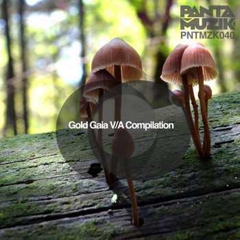 Various Artists - Gold Gaia VA Compilation
