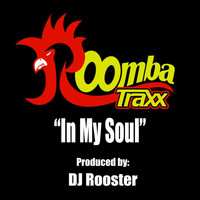 DJ Rooster - In My Soul