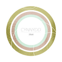 Sŵnami - Cynnydd