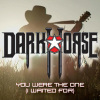Darkhorse - You Were the One (I Waited For)