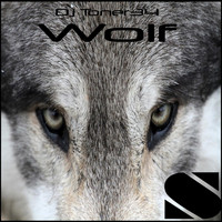 DJ Toner34 - Wolf