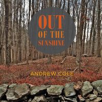 Andrew Cole - Out of the Sunshine