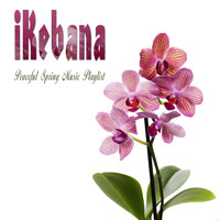 Riccardo Zappa - Ikebana (Peaceful Spring Music Playlist)