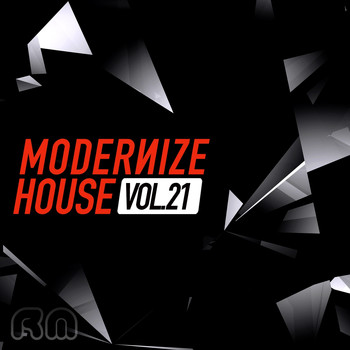 Various Artists - Modernize House, Vol. 21