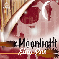 Ecosound - Moonlight Elay Pue (Musica andina e peruviana)