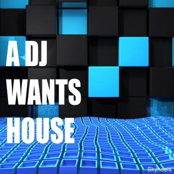Various Artists - A DJ Wants House