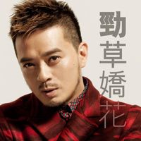Anthony Wong - Jin Cao Jiao Hua