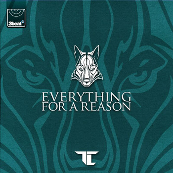 TC - Everything For A Reason