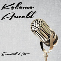 Kokomo Arnold - Essential Hits