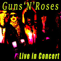 Guns 'n' Roses - Live in Concert